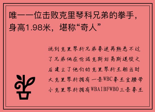 唯一一位击败克里琴科兄弟的拳手，身高1.98米，堪称“奇人”